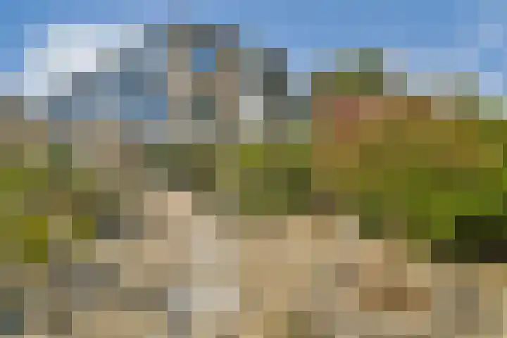 Ploegspoor 22 Haarlem thumbnail 28