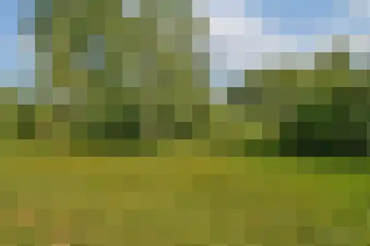 Ploegspoor 22 Haarlem thumbnail 29