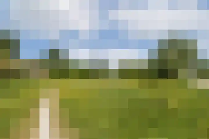 Ploegspoor 22 Haarlem thumbnail 30