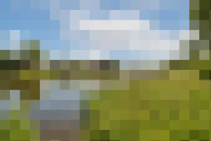 Ploegspoor 22 Haarlem thumbnail 31