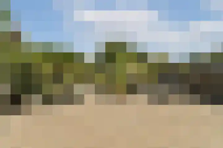 Ploegspoor 22 Haarlem thumbnail 5
