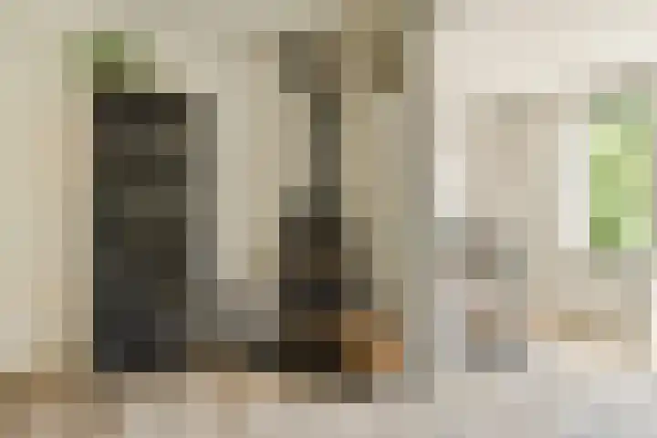 Ploegspoor 22 Haarlem thumbnail 9
