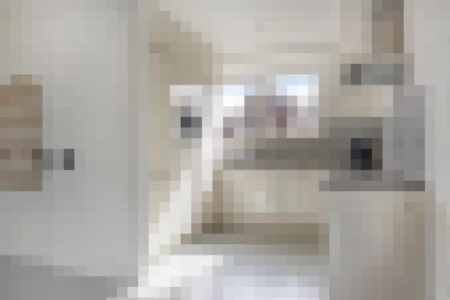 Ploegstraat 1 Purmerend thumbnail 4