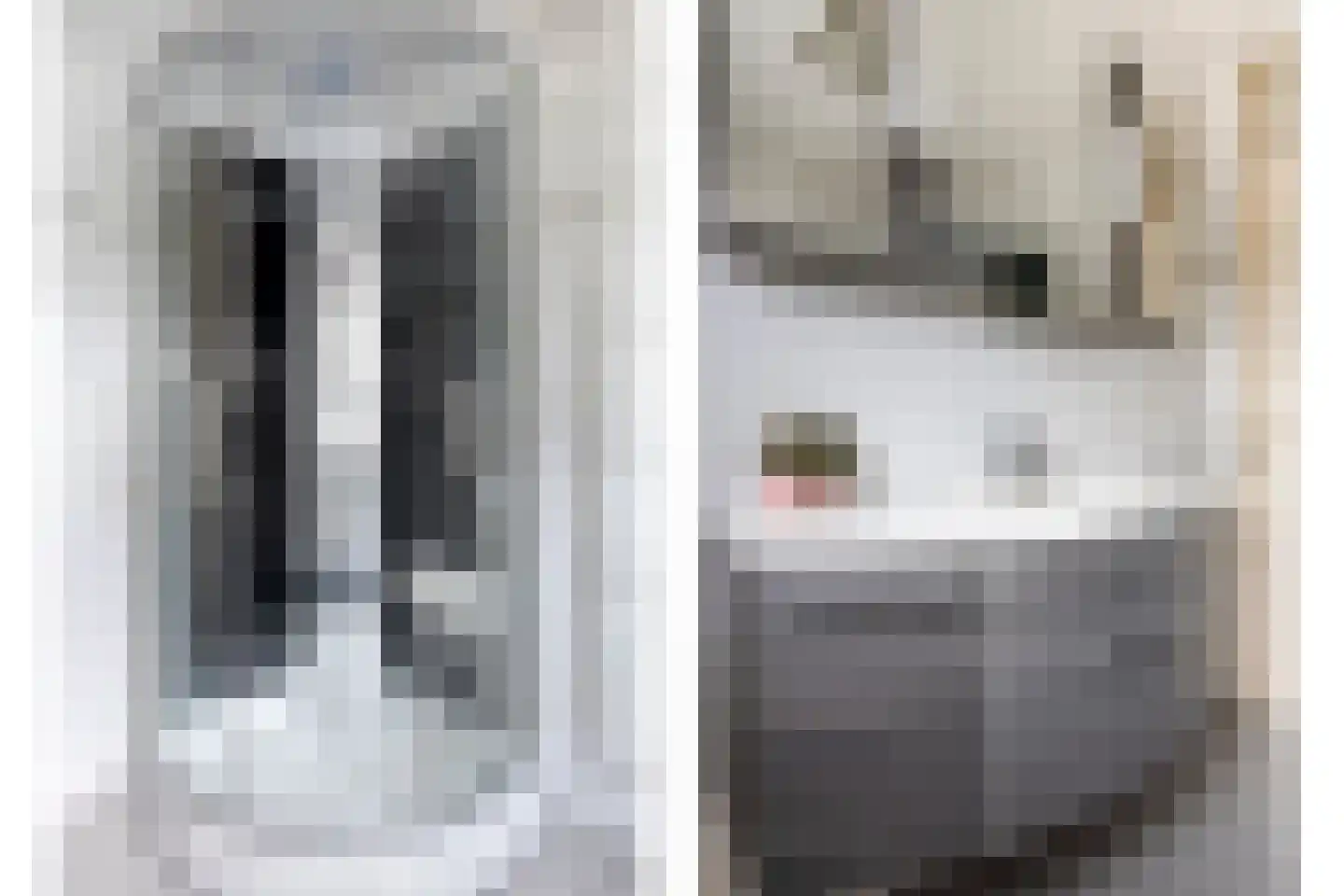 Ploegstraat 1 Purmerend thumbnail 5