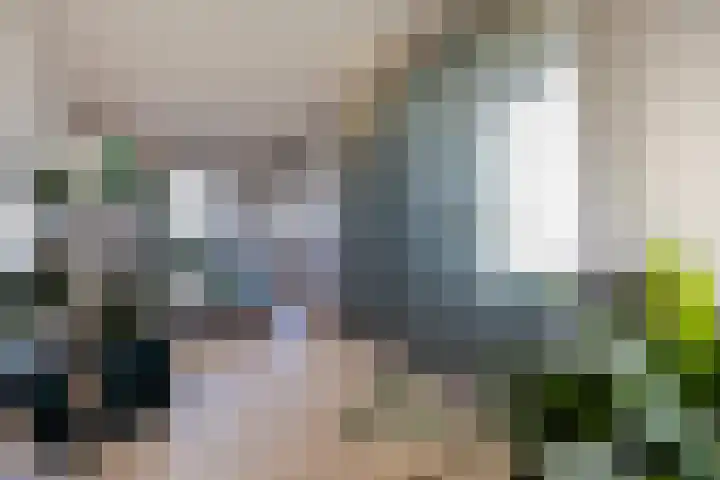 Ploegstraat 117 Breda thumbnail 38