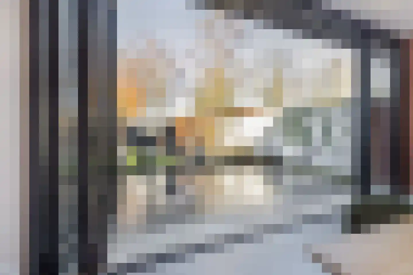 Ploegstraat 117 Breda thumbnail 44