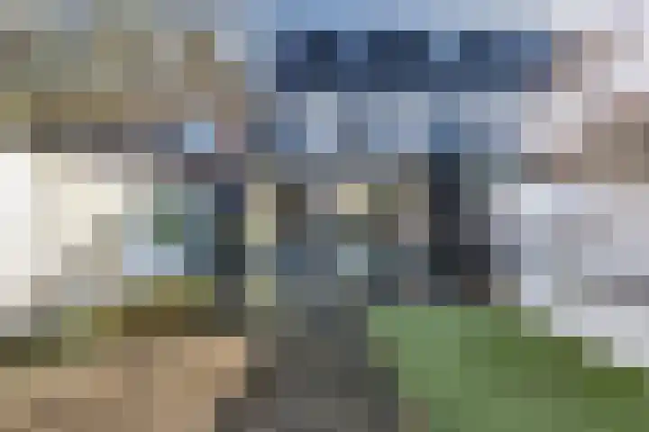 Ploegstraat 117 Breda thumbnail 5
