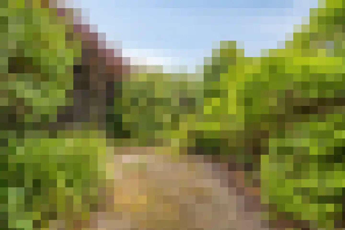 Ploegstraat 17 Nieuw-Vennep thumbnail 22