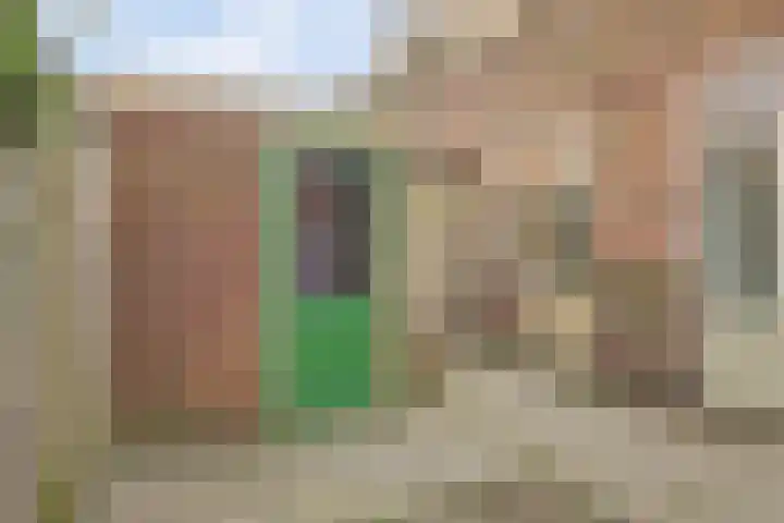 Ploegstraat 179 Amsterdam thumbnail 21