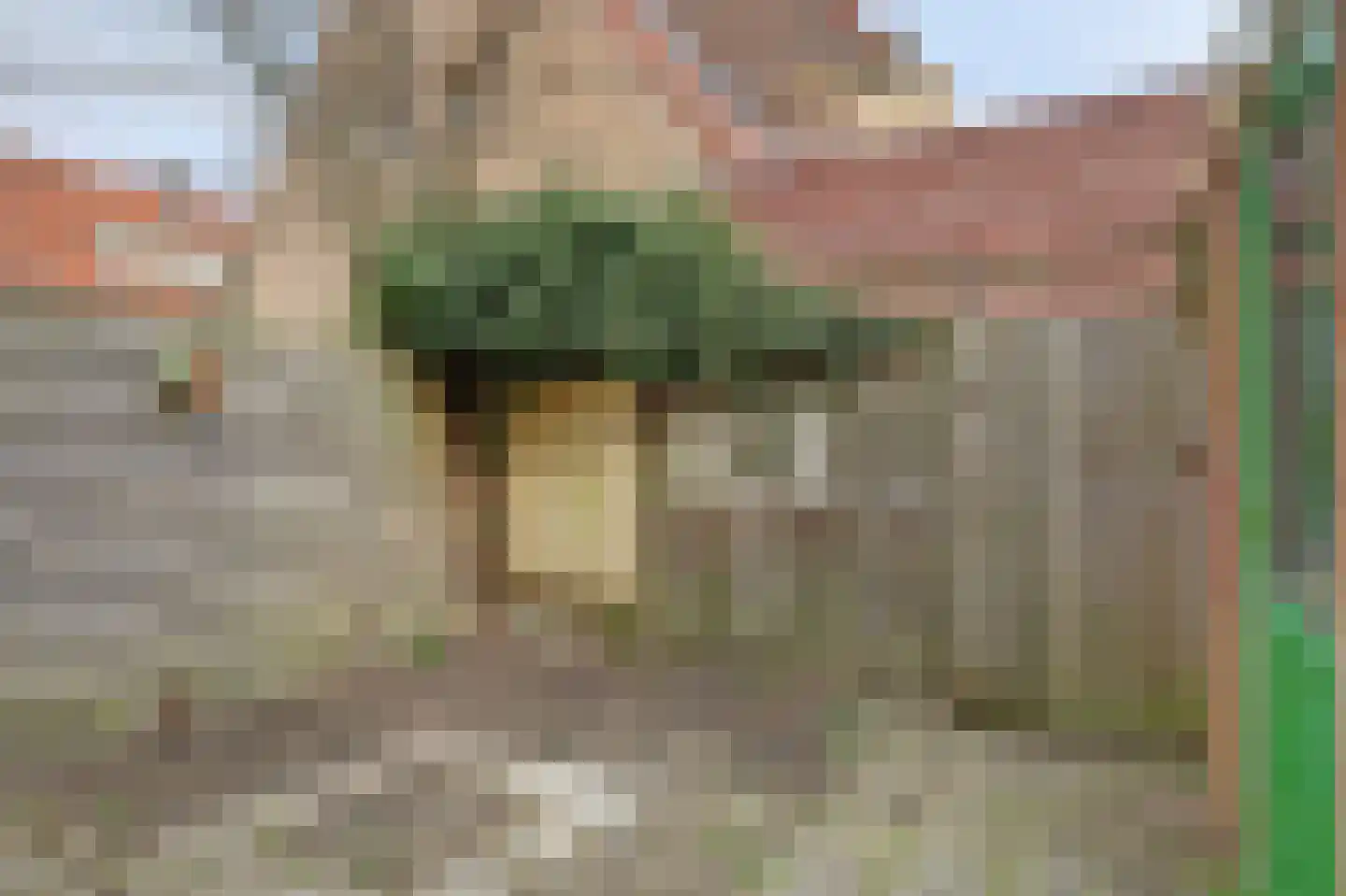Ploegstraat 179 Amsterdam thumbnail 22