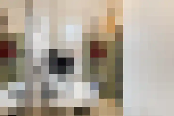 Ploegstraat 18 A Eindhoven thumbnail 21
