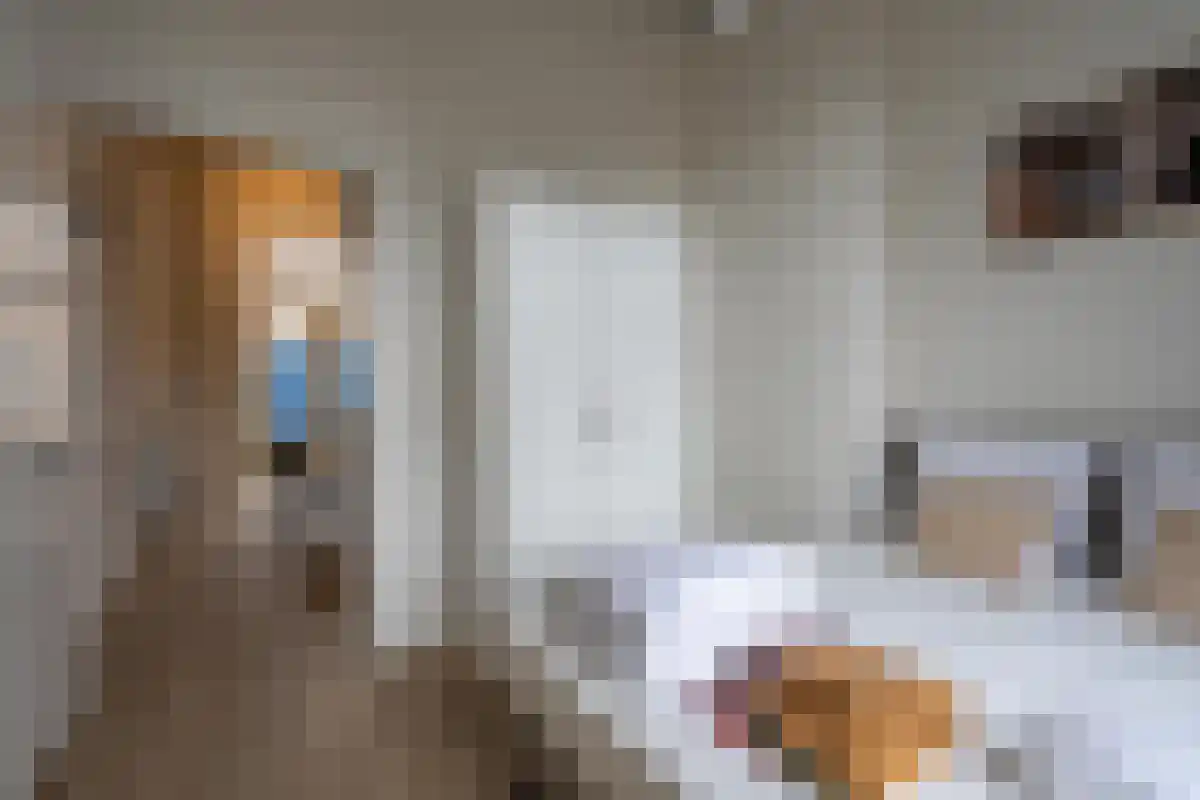 Ploegstraat 18 Rotterdam thumbnail 4