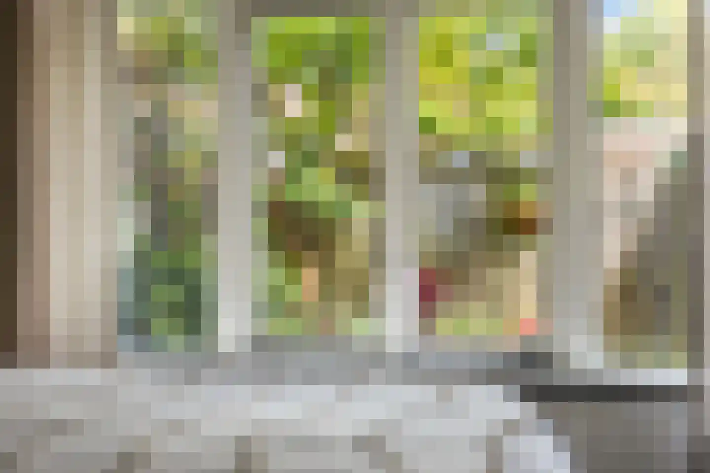 Ploegstraat 187 Amsterdam thumbnail 19