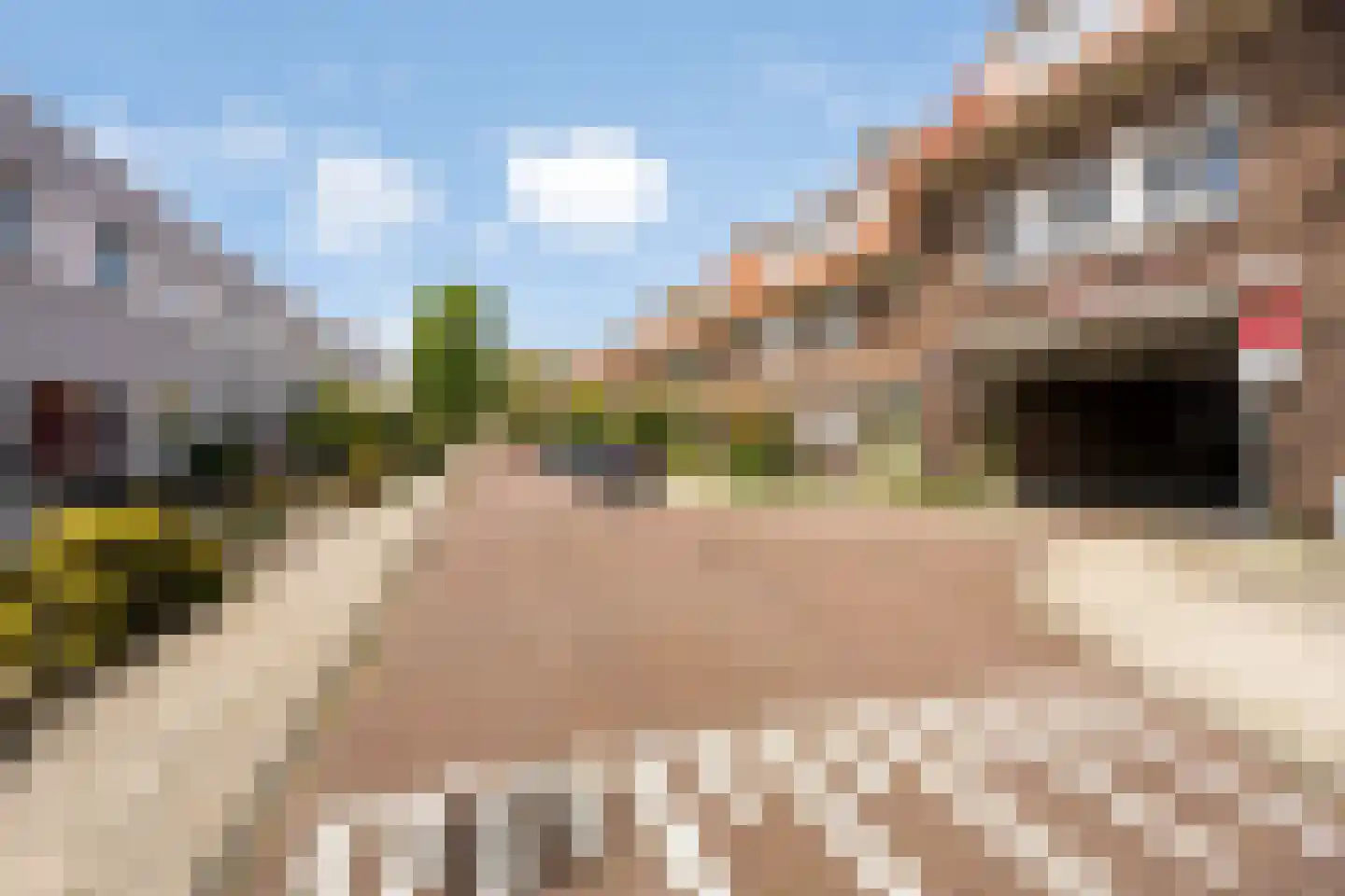Ploegstraat 187 Amsterdam thumbnail 27