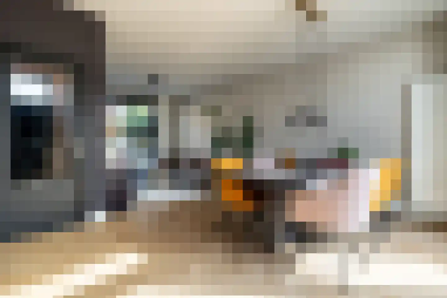 Ploegstraat 2 Breda thumbnail 11