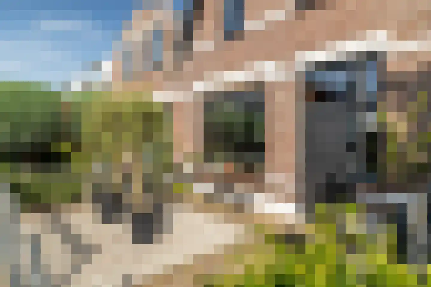 Ploegstraat 2 Breda thumbnail 5