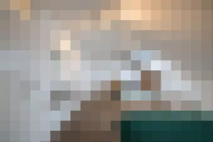 Ploegstraat 21 Alkmaar thumbnail 26