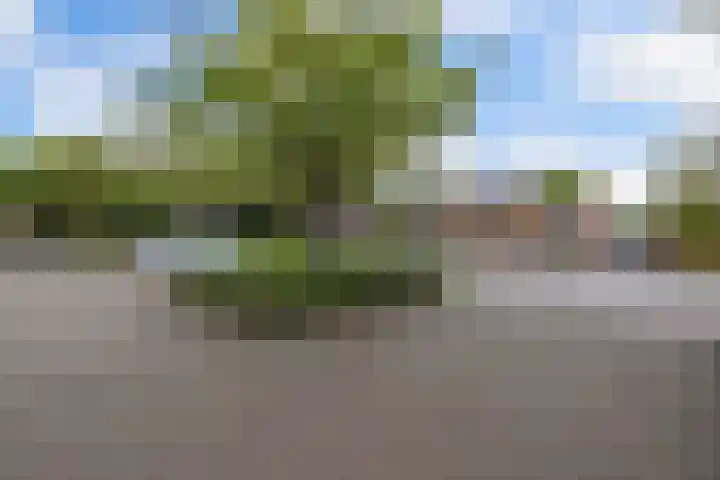 Ploegstraat 21 Alkmaar thumbnail 4