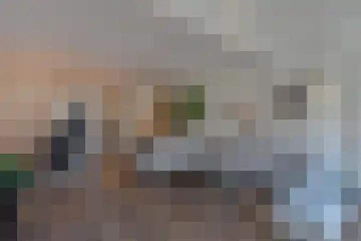 Ploegstraat 22 Alkmaar thumbnail 15