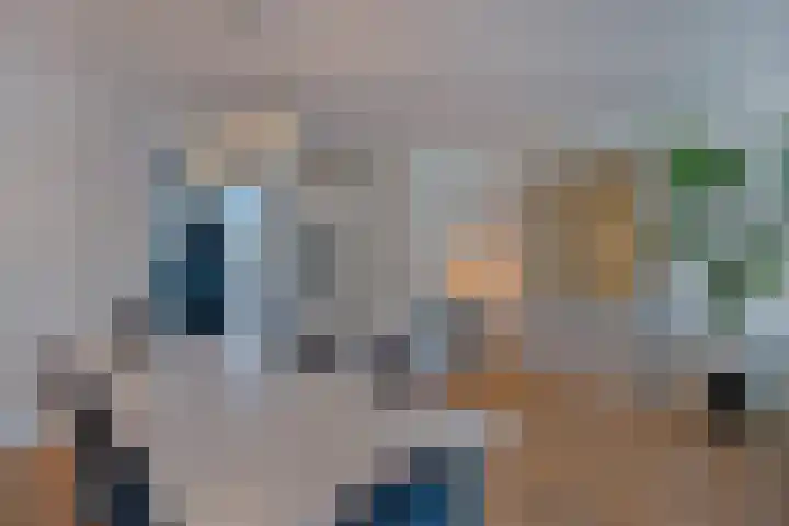 Ploegstraat 22 Alkmaar thumbnail 18