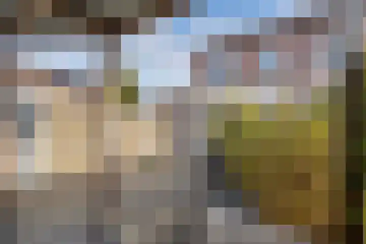 Ploegstraat 22 Alkmaar thumbnail 27
