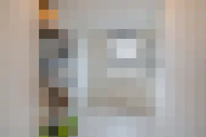 Ploegstraat 22 Alkmaar thumbnail 36