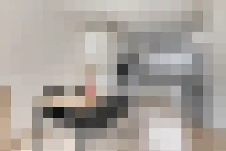 Ploegstraat 22 Purmerend thumbnail 13