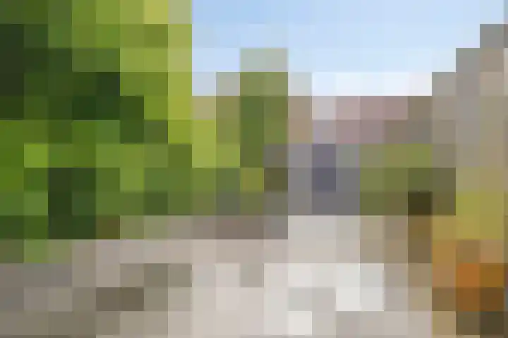 Ploegstraat 22 Purmerend thumbnail 30