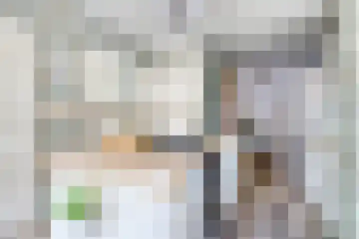 Ploegstraat 25 Schiedam thumbnail 8