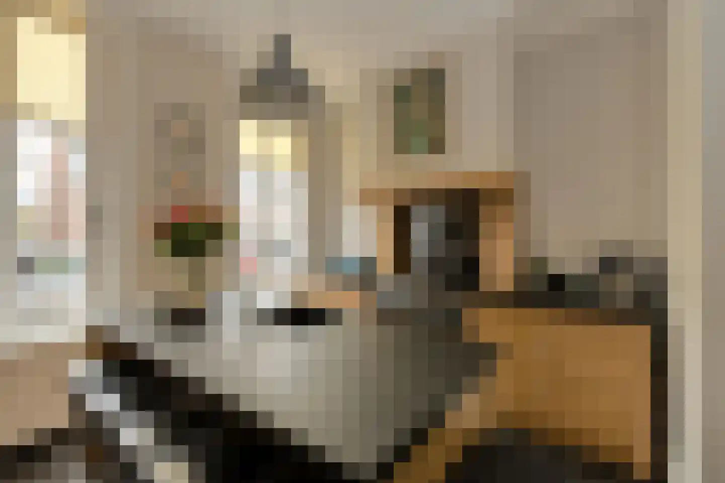 Ploegstraat 27 Breda thumbnail 15