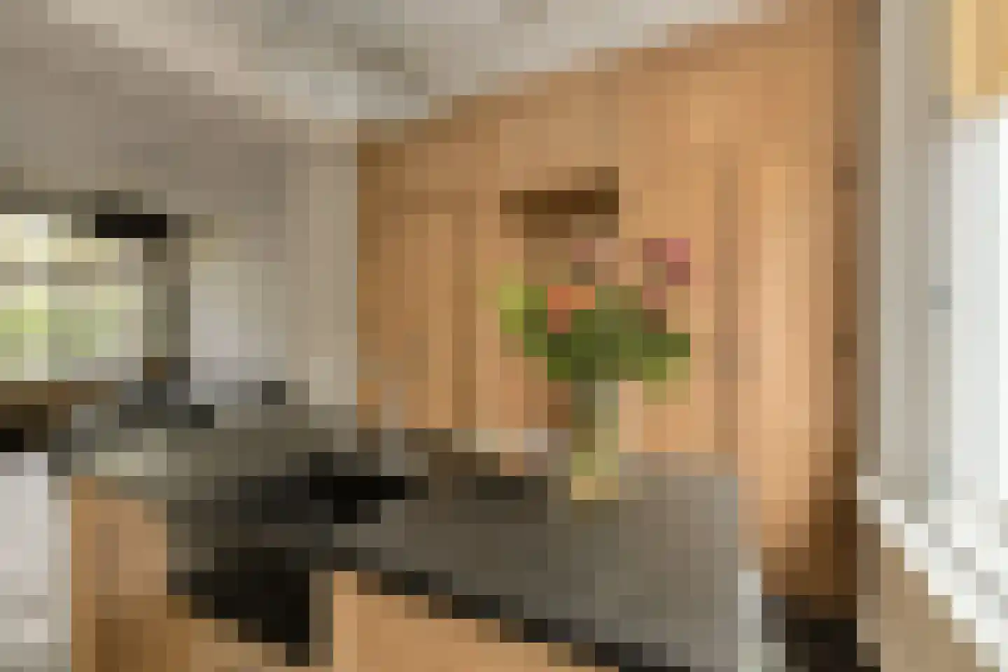 Ploegstraat 27 Breda thumbnail 17