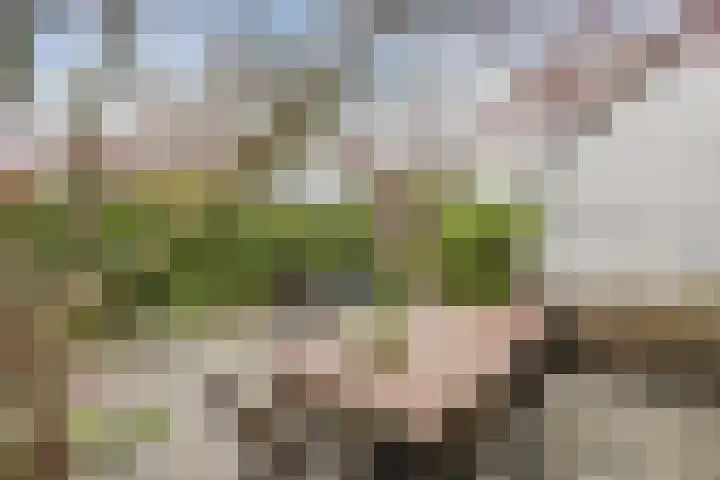 Ploegstraat 27 Breda thumbnail 48