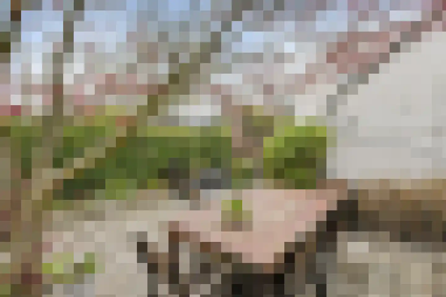 Ploegstraat 27 Breda thumbnail 48