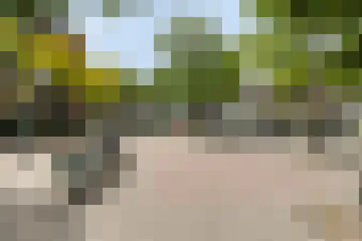 Ploegstraat 28 Schiedam thumbnail 18