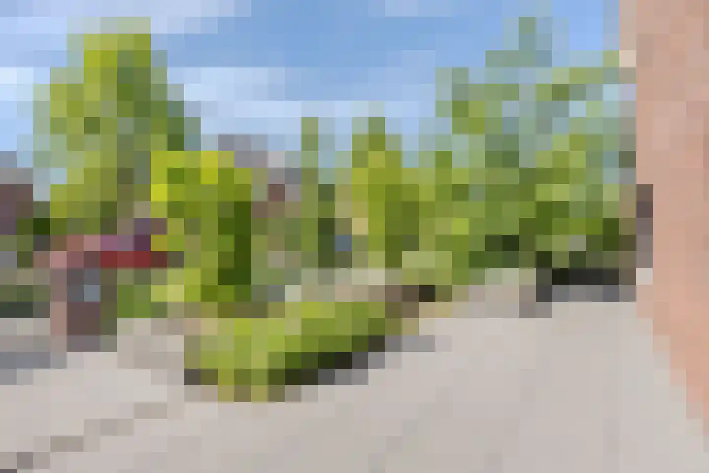 Ploegstraat 3 Made thumbnail 53