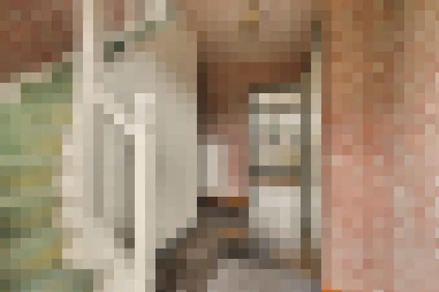 Ploegstraat 33 Bergharen thumbnail 13