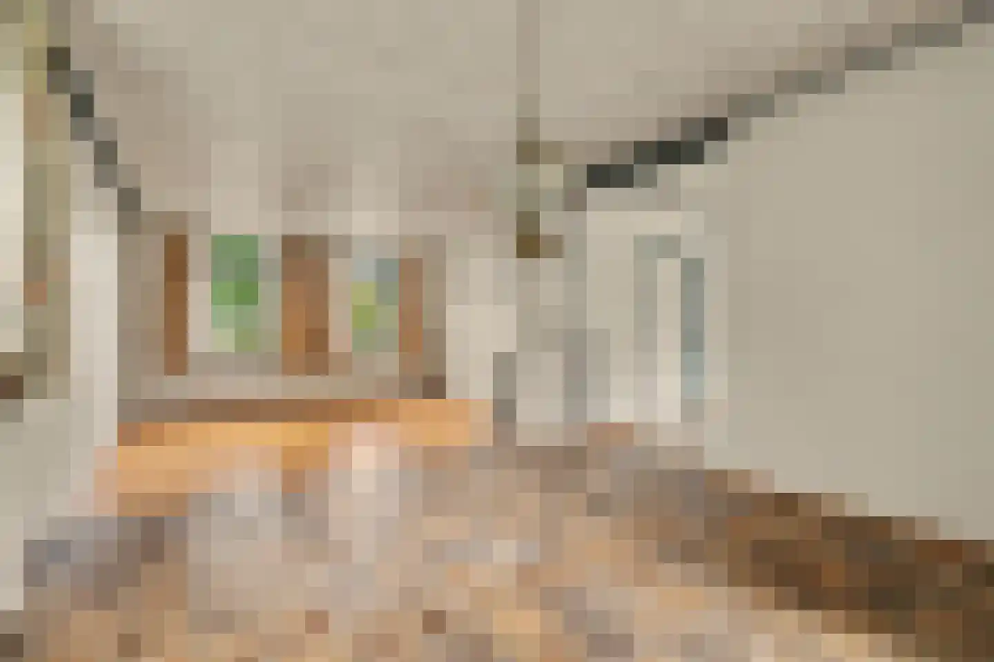 Ploegstraat 33 Bergharen thumbnail 15