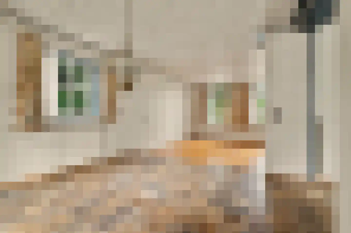 Ploegstraat 33 Bergharen thumbnail 16