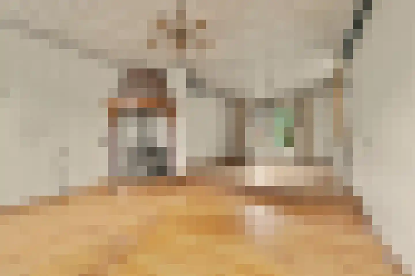 Ploegstraat 33 Bergharen thumbnail 17