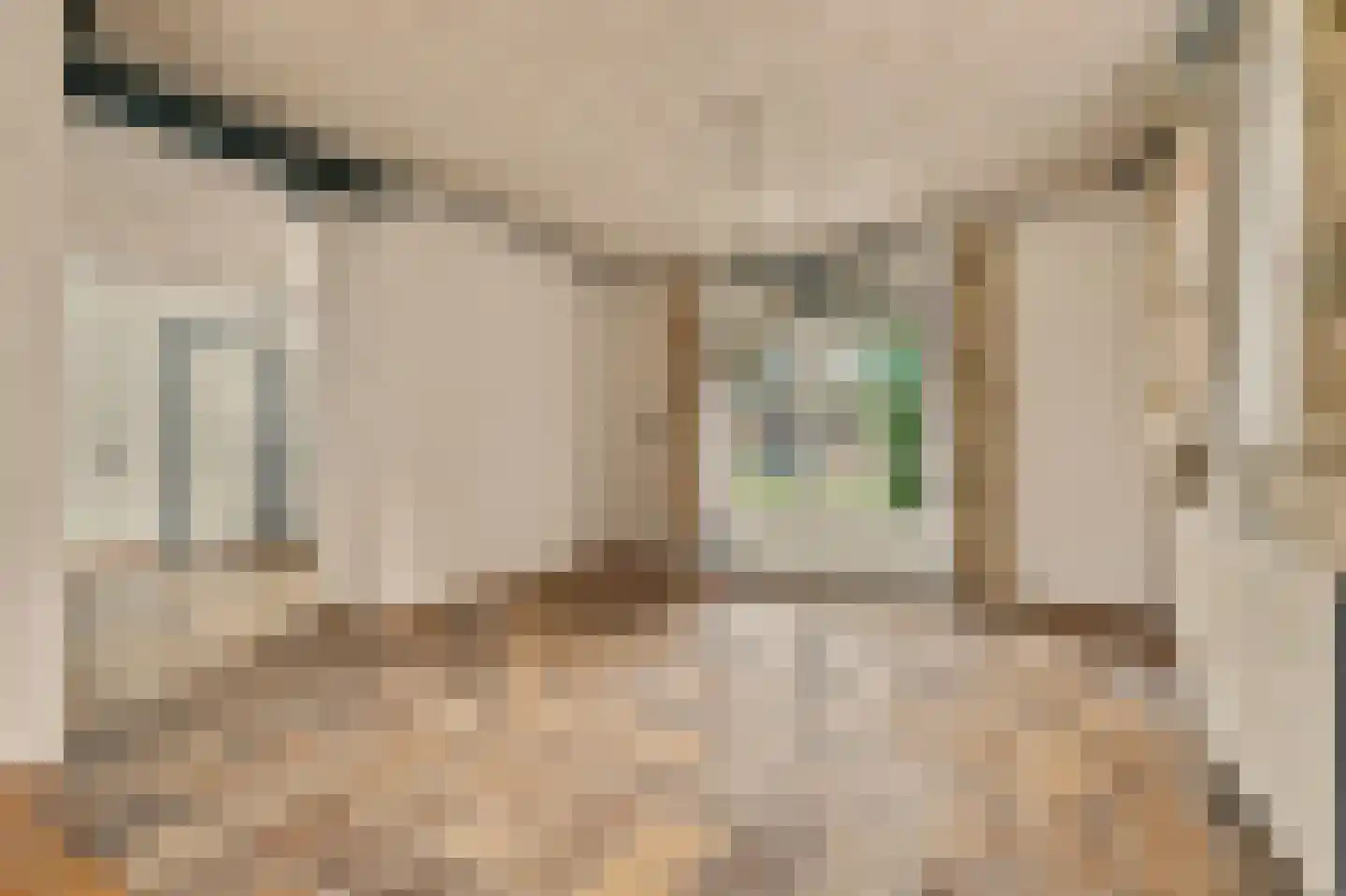 Ploegstraat 33 Bergharen thumbnail 20