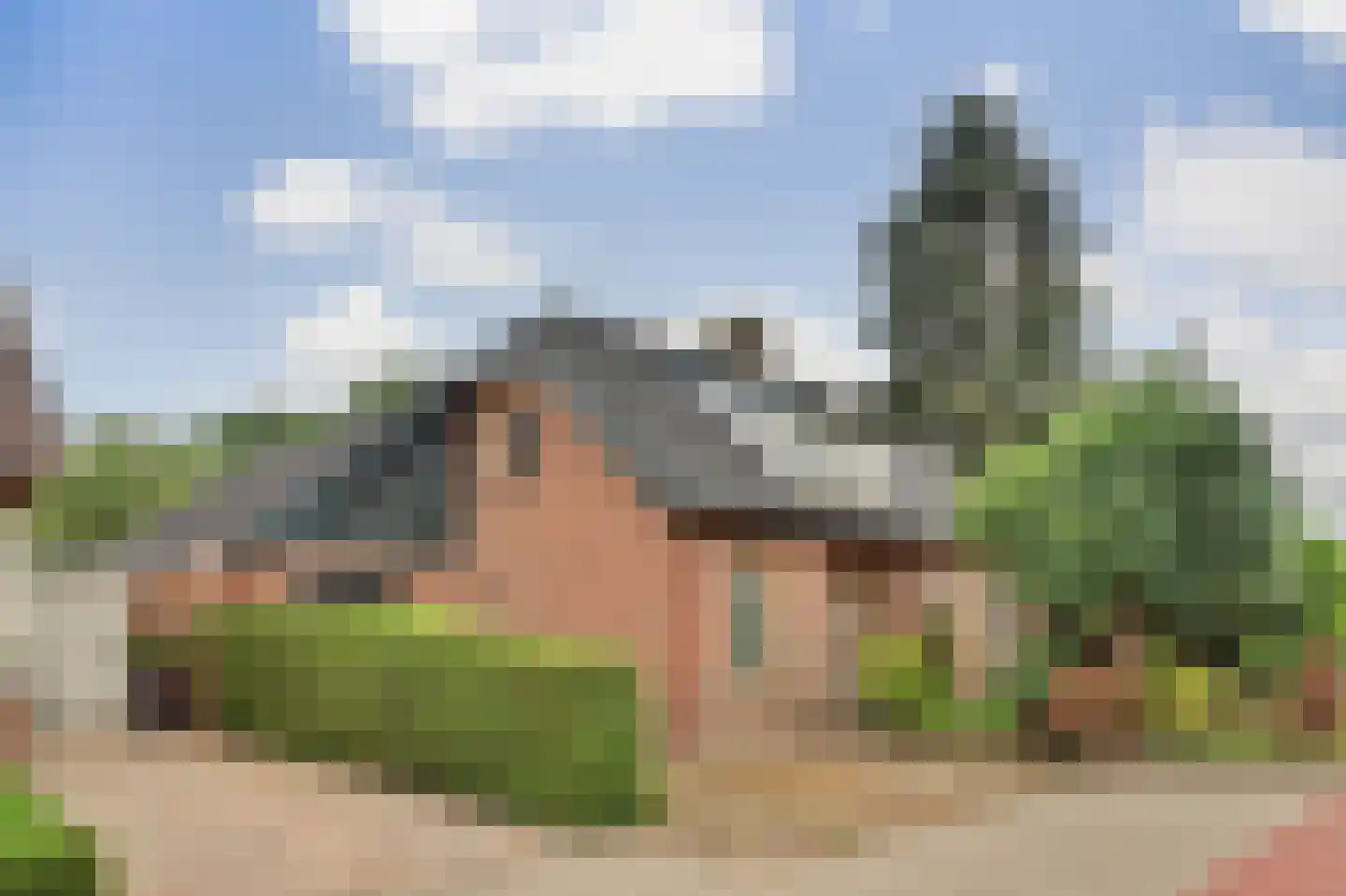 Ploegstraat 33 Bergharen thumbnail 4