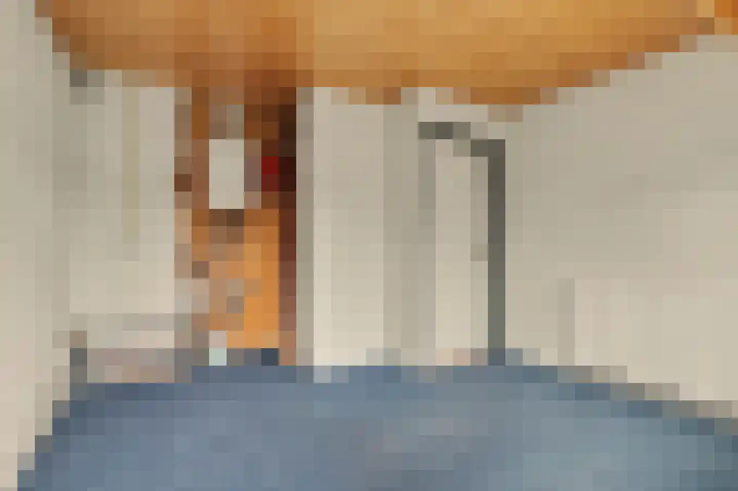 Ploegstraat 33 Bergharen thumbnail 40