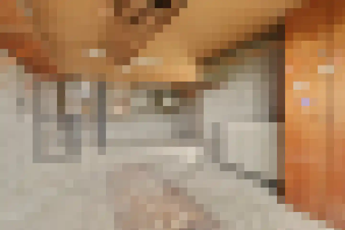 Ploegstraat 33 Bergharen thumbnail 51