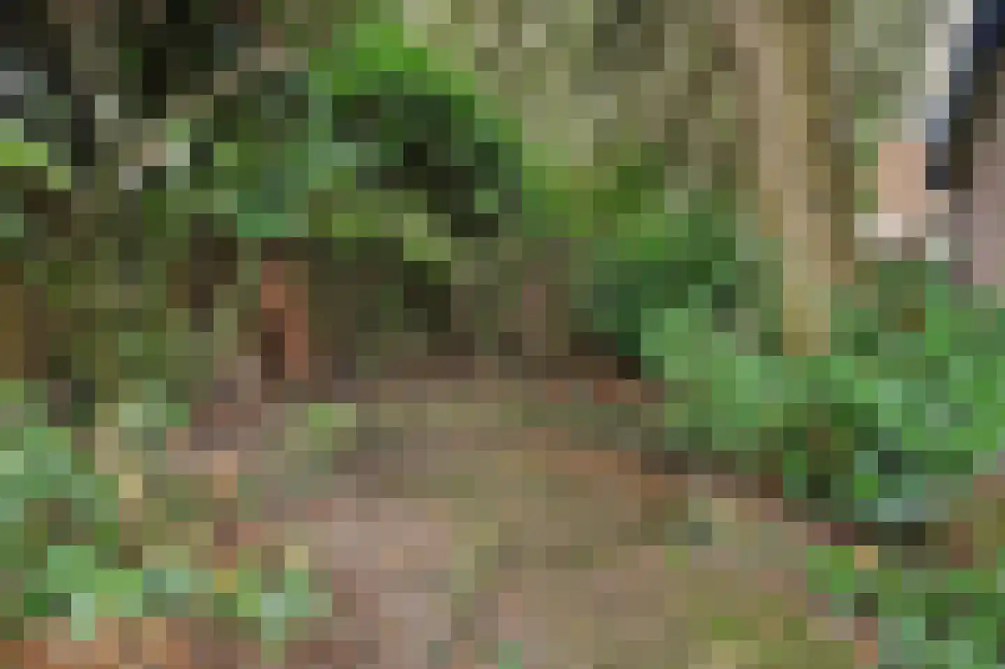 Ploegstraat 33 Bergharen thumbnail 63