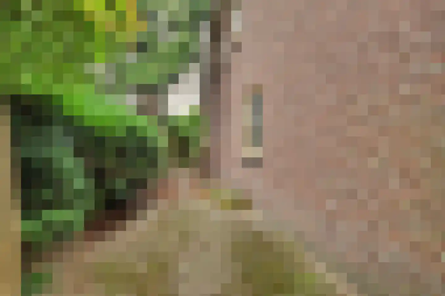 Ploegstraat 33 Bergharen thumbnail 64