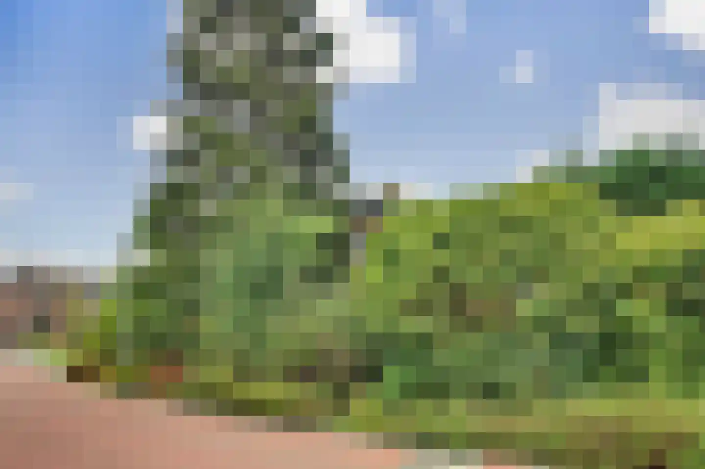 Ploegstraat 33 Bergharen thumbnail 9