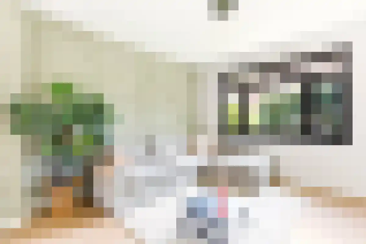 Ploegstraat 36 Amsterdam thumbnail 4