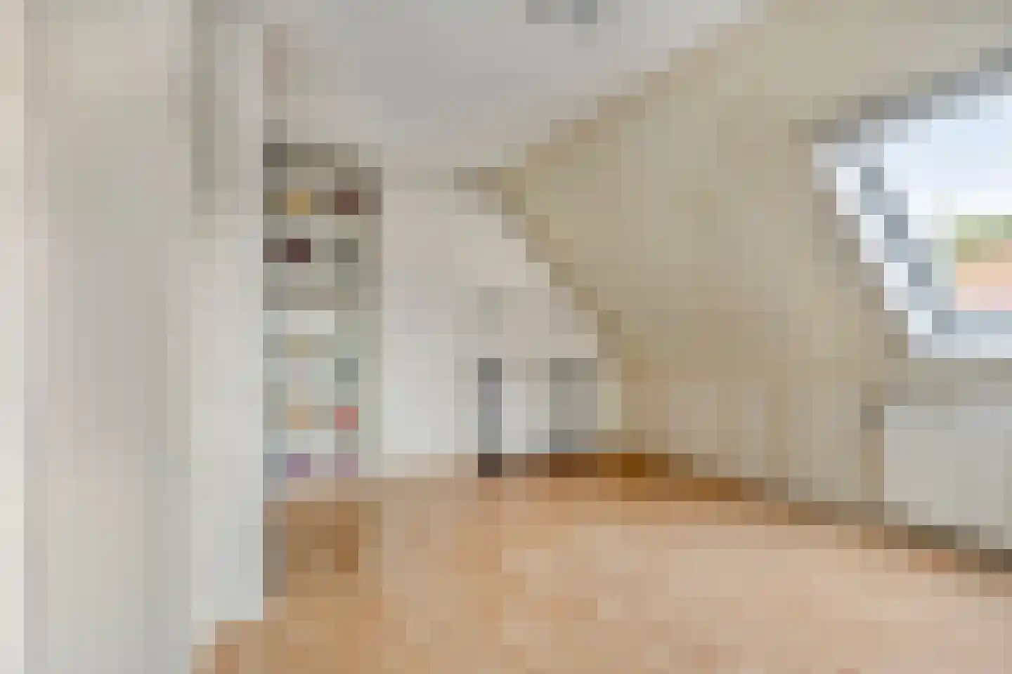 Ploegstraat 38 Purmerend thumbnail 22