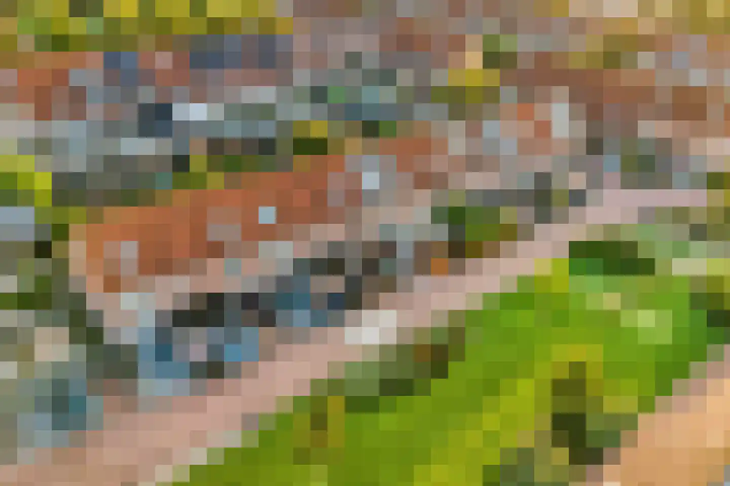 Ploegstraat 38 Purmerend thumbnail 40