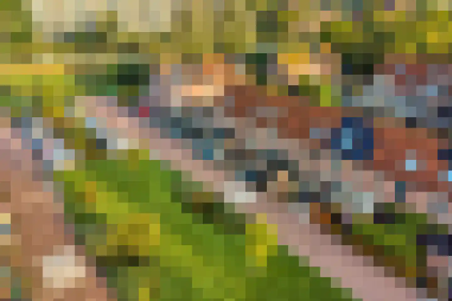 Ploegstraat 38 Purmerend thumbnail 41